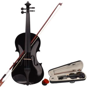 Violín acústico negro